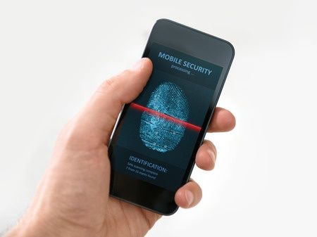 Biometria-Celular