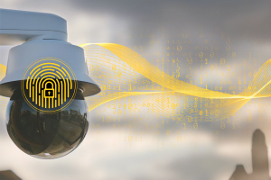 En Axis la apuesta continua por la innovación