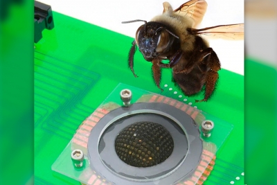 Crean cámara digital inspirada en la vista de los insectos